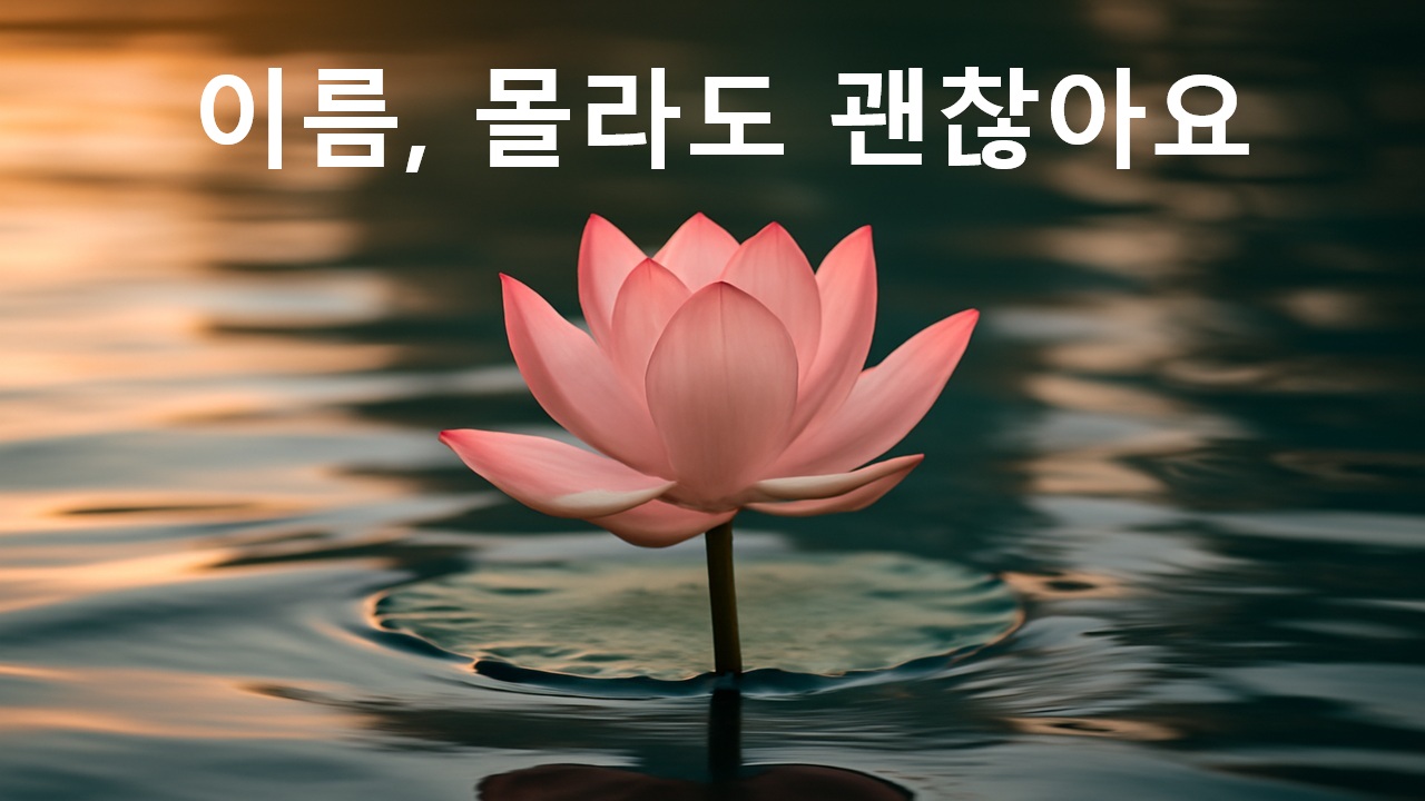 그대가 내 별이 되어준다면...
